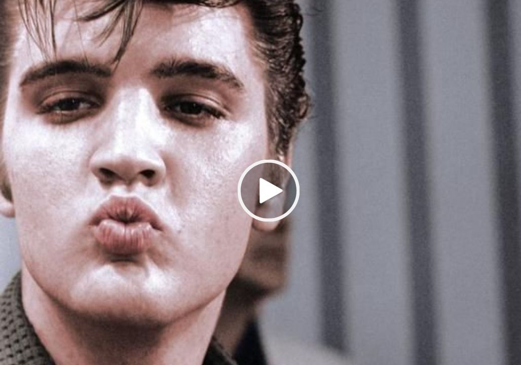 Elvis Presley –  My Babe